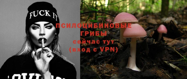 прущий лед Алексеевка