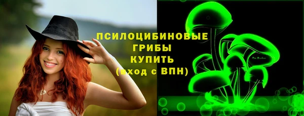 дживик Алзамай