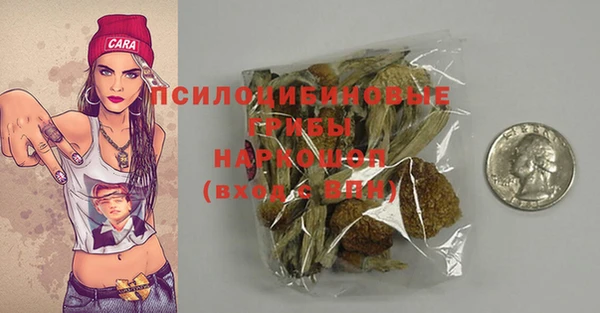 дживик Алзамай