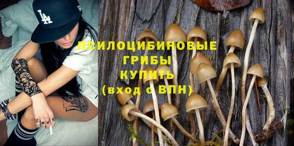 прущий лед Алексеевка