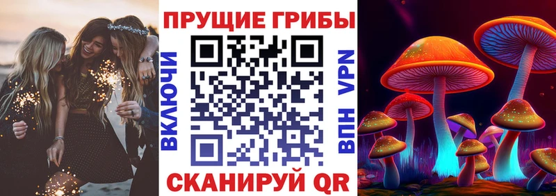 наркота  Фатеж  Псилоцибиновые грибы MAGIC MUSHROOMS 